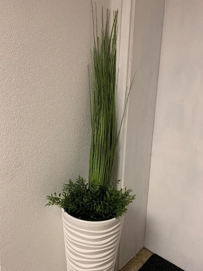 Ferienwohnung "Am Mittag" 블라이하흐 외부 사진